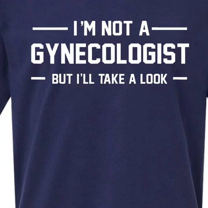 I’M Not A Gynecologist But I’Ll Take A Look Sueded Cloud Jersey T-Shirt