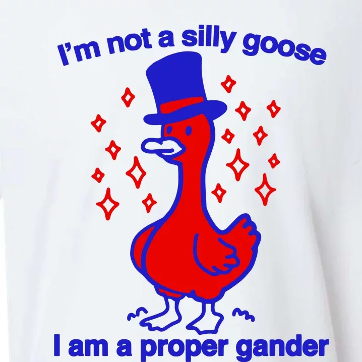 I’M Not A Silly Goose I Am A Proper Gander Sueded Cloud Jersey T-Shirt