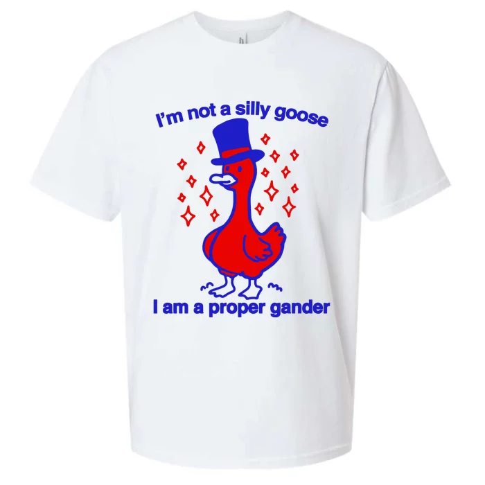 I’M Not A Silly Goose I Am A Proper Gander Sueded Cloud Jersey T-Shirt