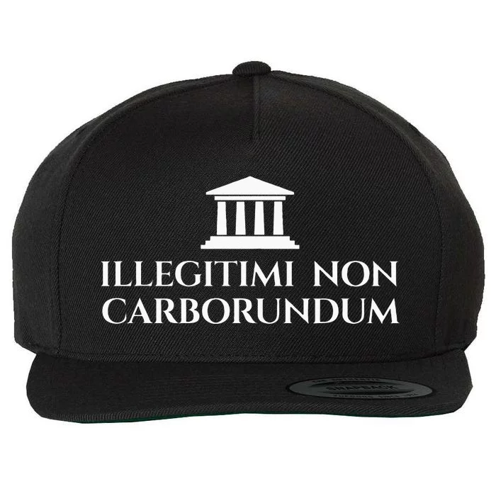 Illegitimi Non Carborundum Funny Dog Latin Phrase Wool Snapback Cap