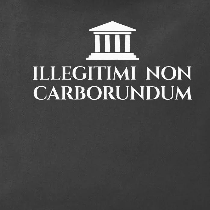 Illegitimi Non Carborundum Funny Dog Latin Phrase Zip Tote Bag