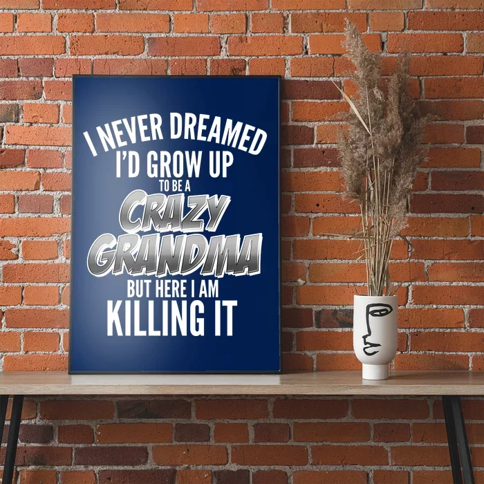 I Never Dreamed I'd Grow Up To Be A Crazy Grandma Poster