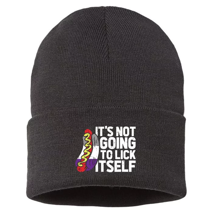 Its Not Going To Lick Itself Lgbtq Asexual Pride Sustainable Knit Beanie