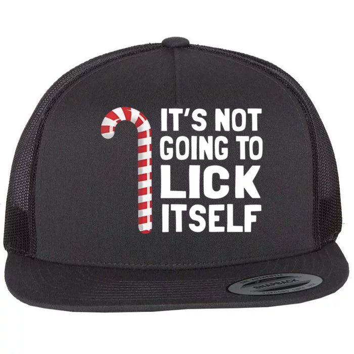 ItS Not Going To Lick Itself Flat Bill Trucker Hat