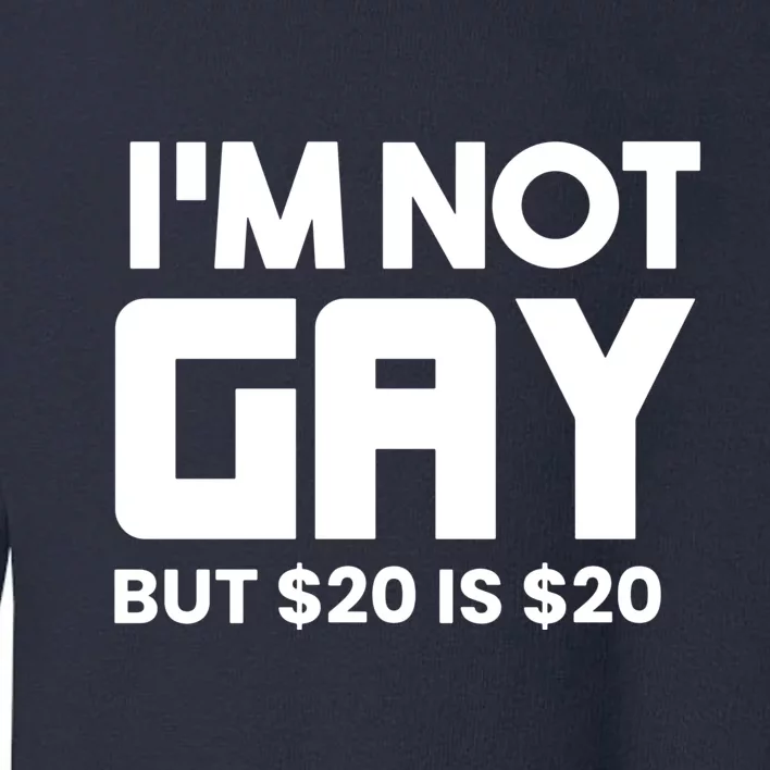 I’m Not Gay But $20 Is $20 Toddler Sweatshirt