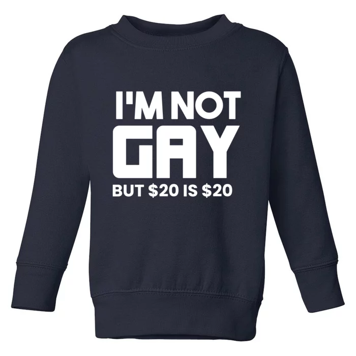 I’m Not Gay But $20 Is $20 Toddler Sweatshirt