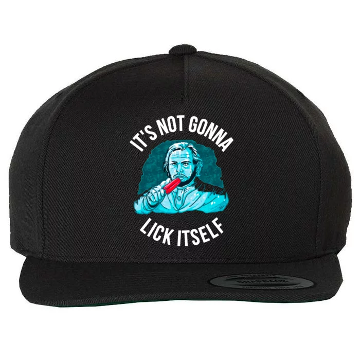 It's Not Gonna Lick Itself Funny Popsicle Wool Snapback Cap