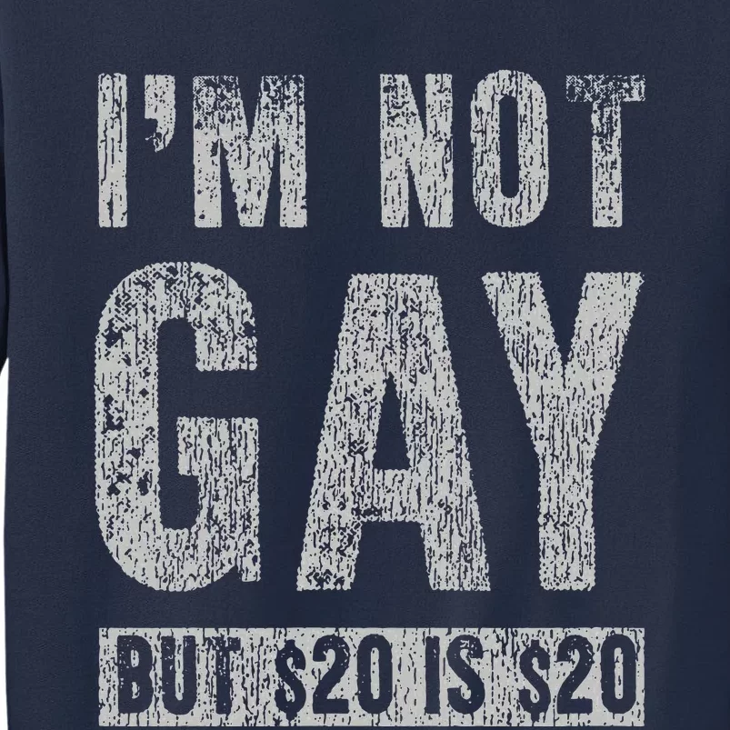 IM Not Gay But 20 Dollars Is 20 Dollars Funny Adult Sweatshirt