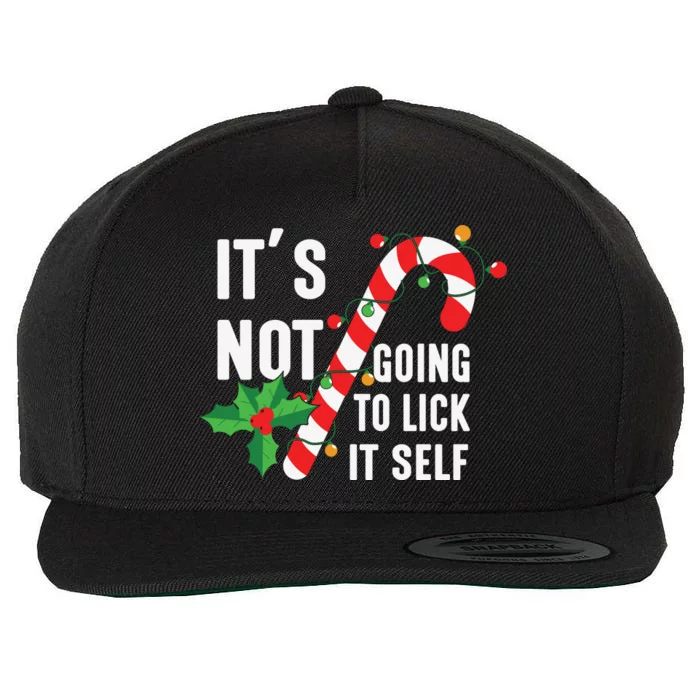 ItS Not Going To Lick Itself Funny Xmas Wool Snapback Cap