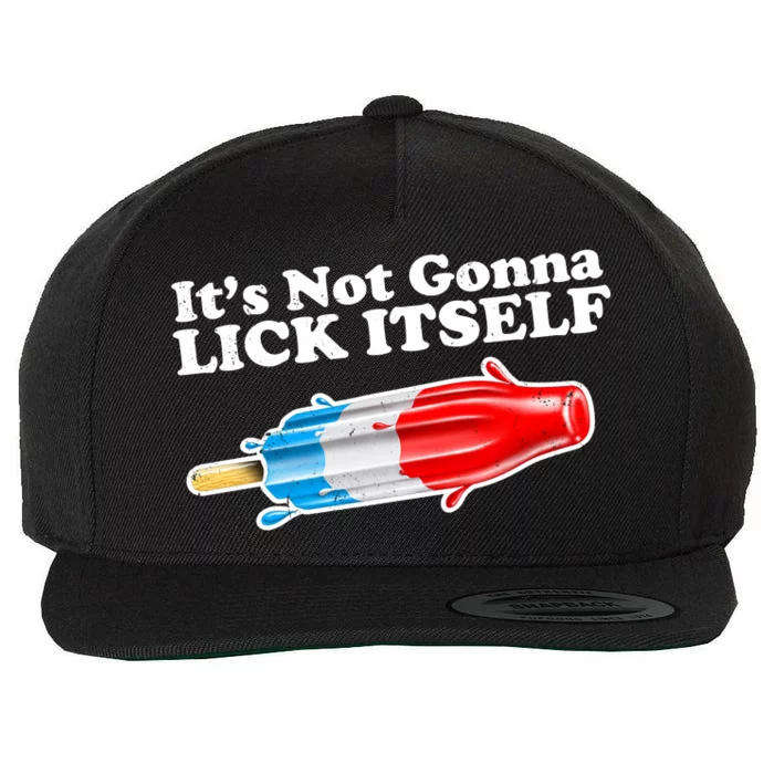 Its Not Gonna Lick Itself Funny Popsicle Wool Snapback Cap