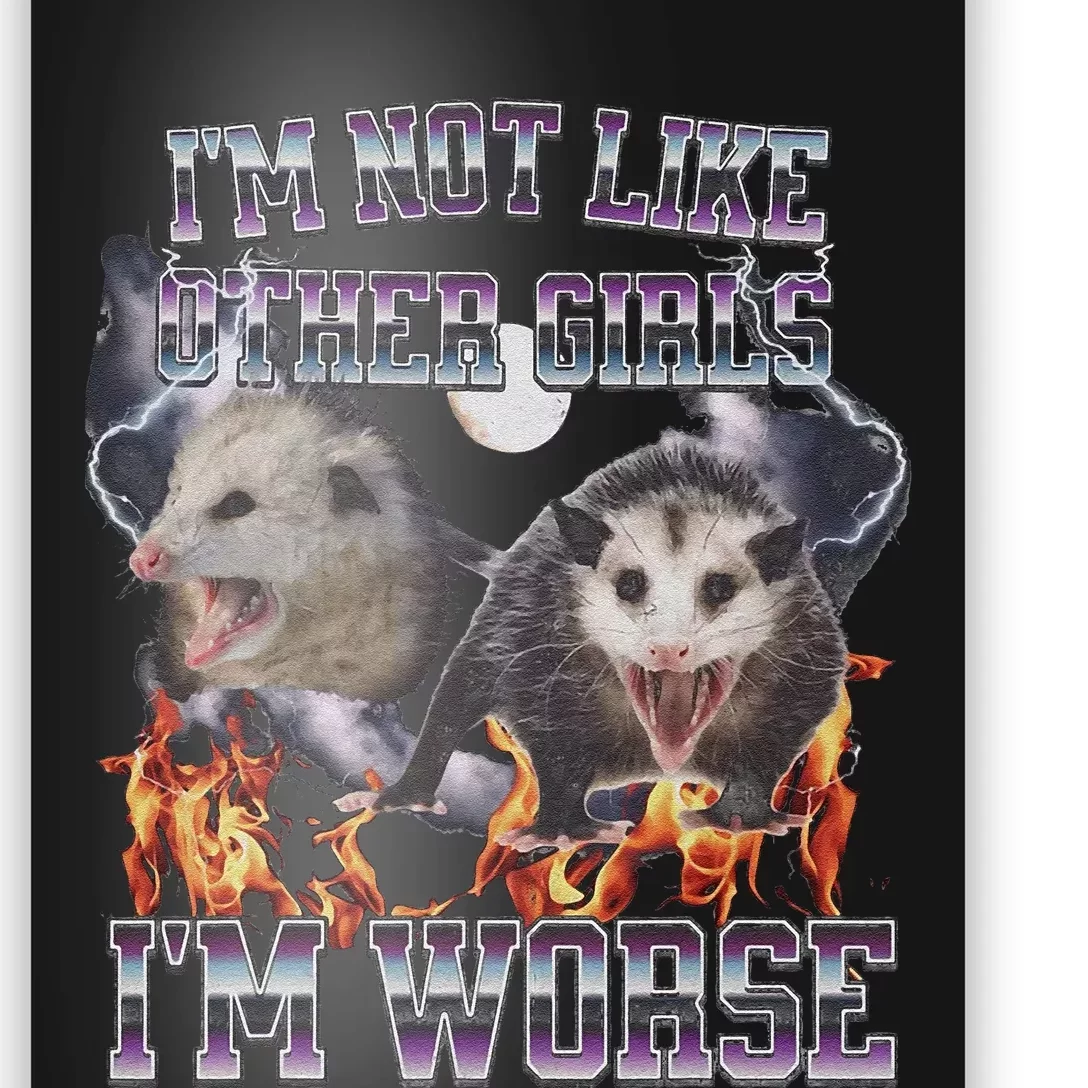 IM Not Like Other IM Worse Possum Funny Poster