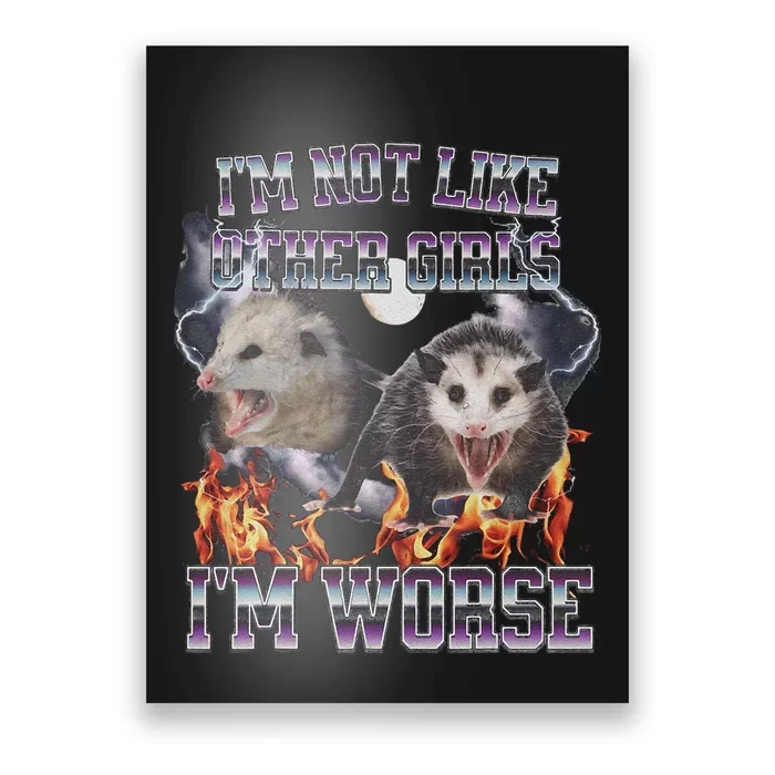 IM Not Like Other IM Worse Possum Funny Poster