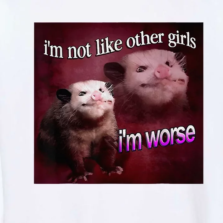 I’M Not Like Other Girl I’M Worse Women Friend Garment-Dyed Sweatshirt