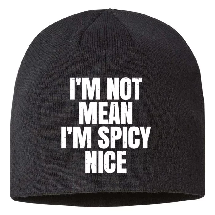 Im Not Mean Im Spicy Nice Funny 8 1/2in Sustainable Knit Beanie