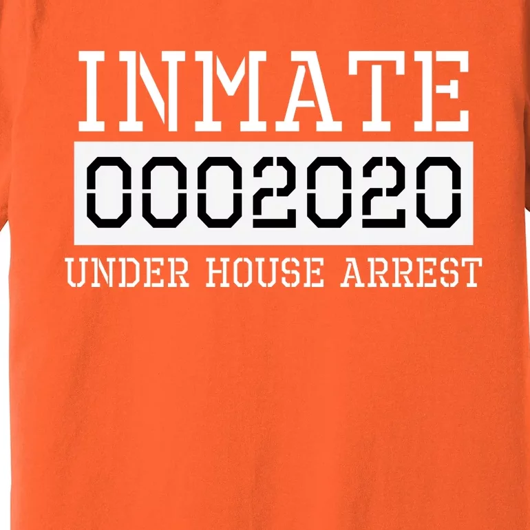 Inmate Under House Arrest Funny Prison Costume Premium T-Shirt