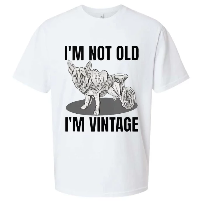 IM Not Old IM Sueded Cloud Jersey T-Shirt