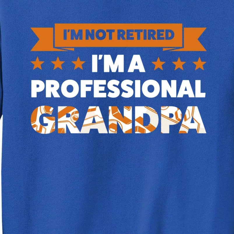 I'm Not Retired I'm A Professional Grandpa Family Gift Sweatshirt