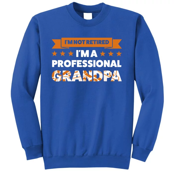 I'm Not Retired I'm A Professional Grandpa Family Gift Sweatshirt