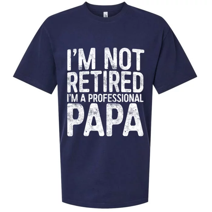 IM Not Retired IM A Professional Papa Fathers Day Sueded Cloud Jersey T-Shirt