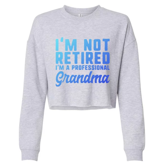 Im Not Retired Professional Grandma Retiret Funny Funny Gift Cropped Pullover Crew