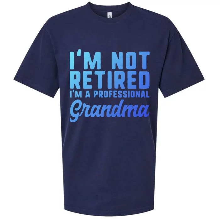 Im Not Retired Professional Grandma Retiret Funny Funny Gift Sueded Cloud Jersey T-Shirt