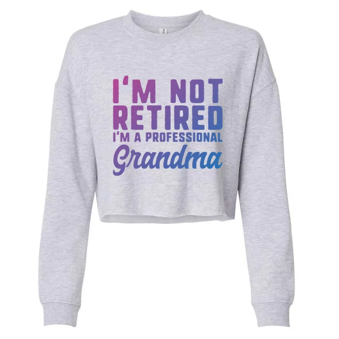 Im Not Retired Professional Grandma Retiret Funny Funny Gift Cropped Pullover Crew