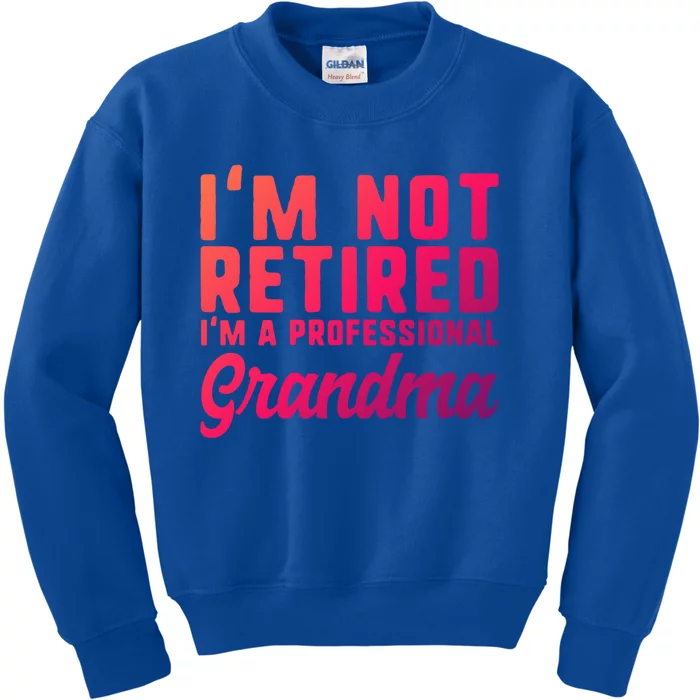 Im Not Retired Professional Grandma Retiret Funny Funny Gift Kids Sweatshirt