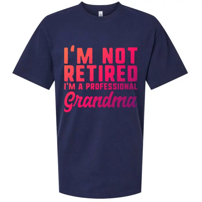 Im Not Retired Professional Grandma Retiret Funny Funny Gift Sueded Cloud Jersey T-Shirt