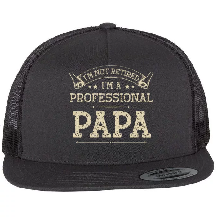 Im Not Retired A Professional Papa Tee Fathers Day Gift Flat Bill Trucker Hat