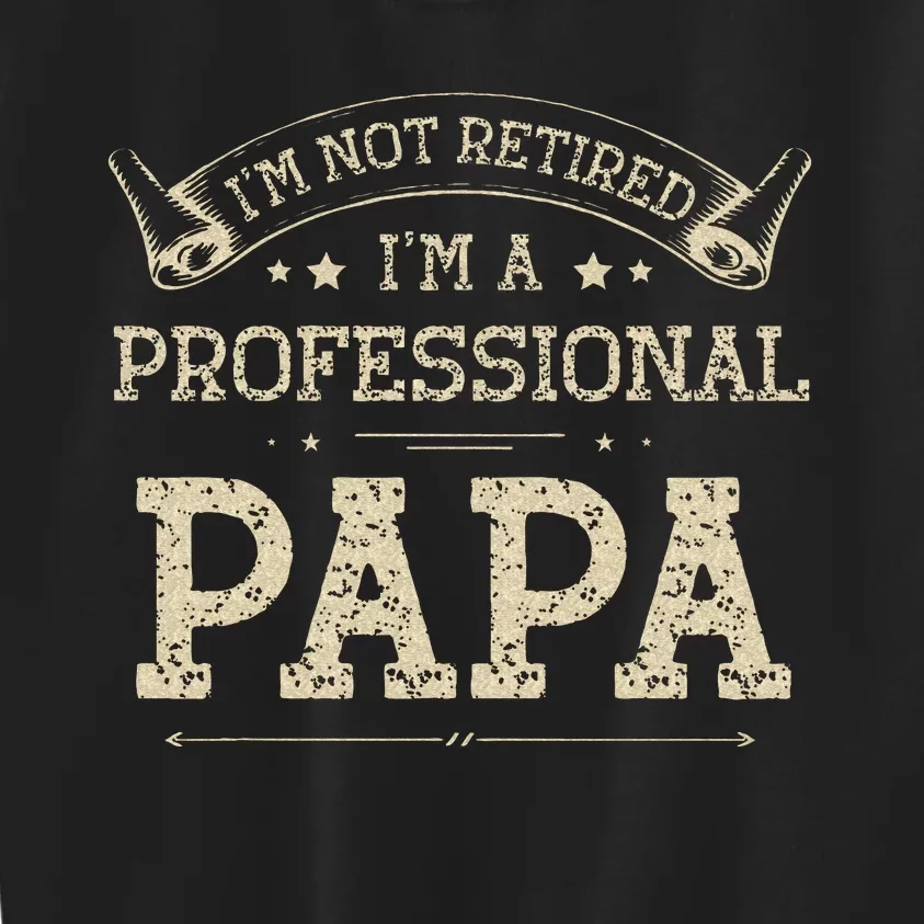 Im Not Retired A Professional Papa Tee Fathers Day Gift Kids Sweatshirt