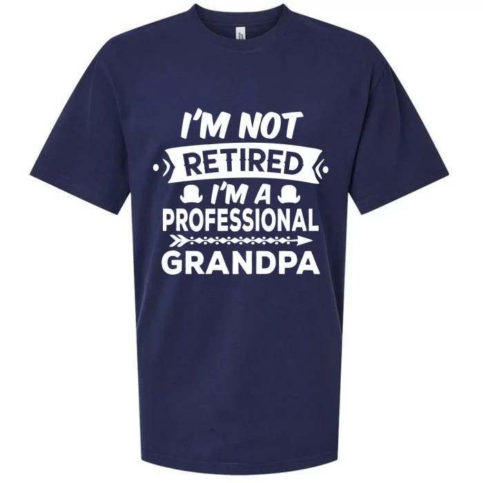 I'm Not Retired I'm A Professional Grandpa Gift Sueded Cloud Jersey T-Shirt