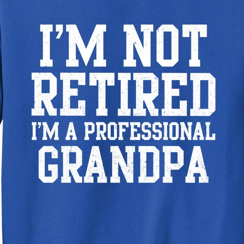 I'm Not Retired I'm A Professional Grandpa Gift Sweatshirt