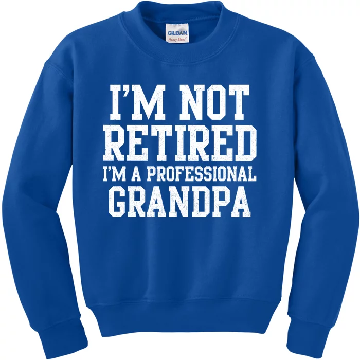 I'm Not Retired I'm A Professional Grandpa Gift Kids Sweatshirt