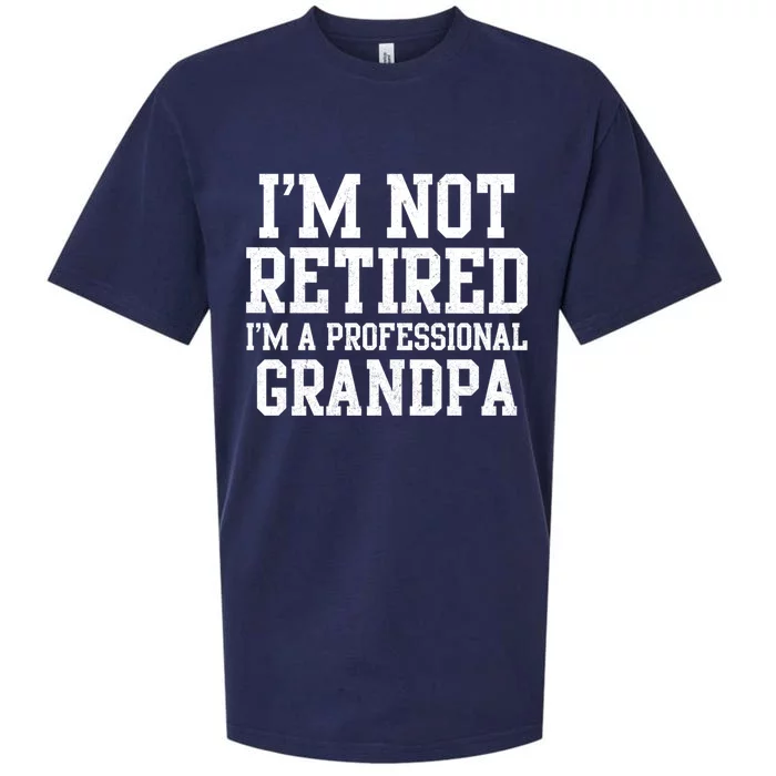 I'm Not Retired I'm A Professional Grandpa Gift Sueded Cloud Jersey T-Shirt