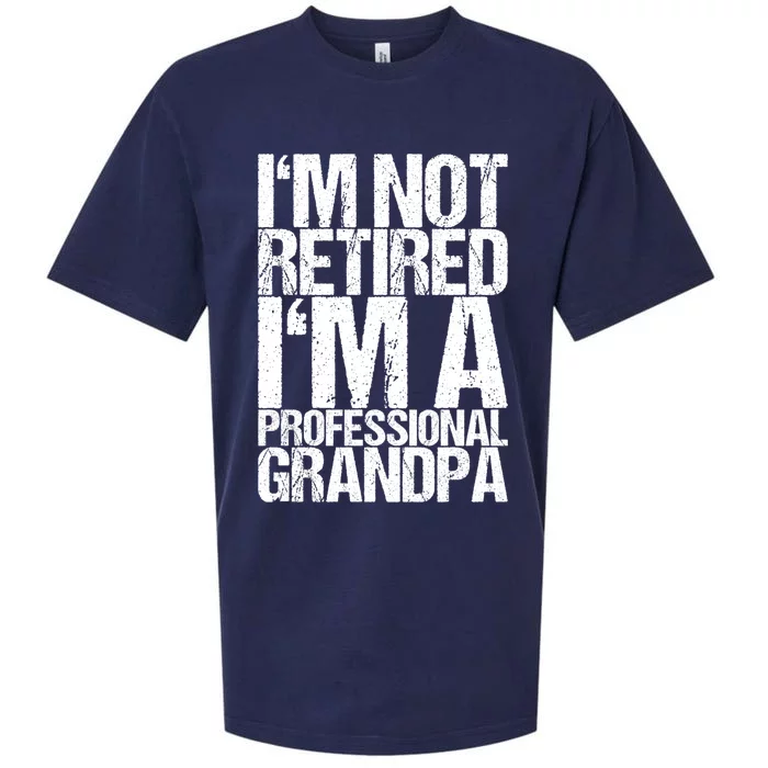 I'm Not Retired I'm A Professional Grandpa Great Gift Sueded Cloud Jersey T-Shirt