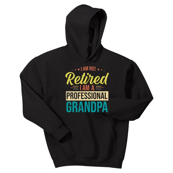 Im Not Retired Im A Professional Grandpa Vintage Kids Hoodie