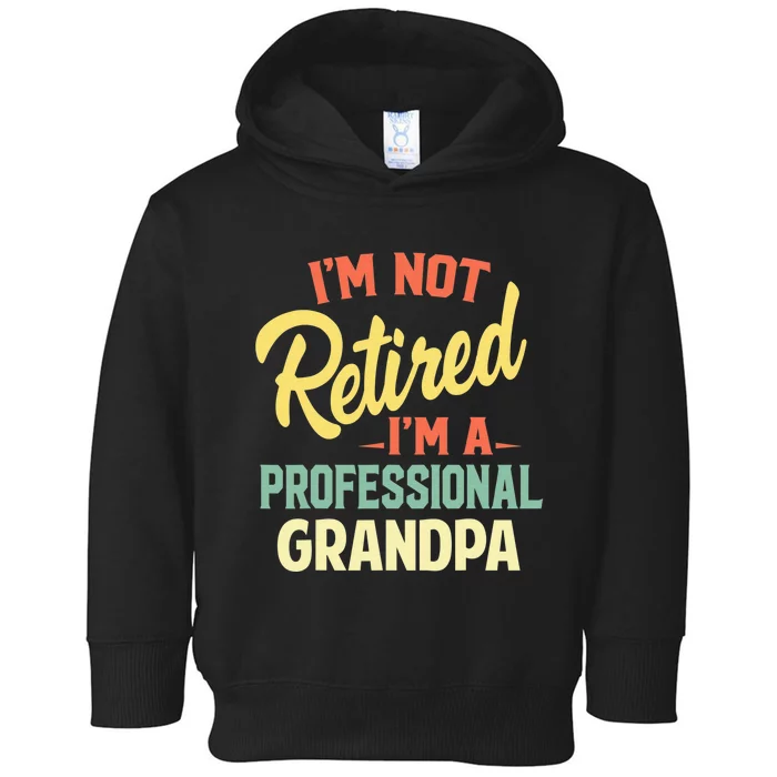 I'm Not Retired I'm A Professional Grandpa Funny Gift Toddler Hoodie