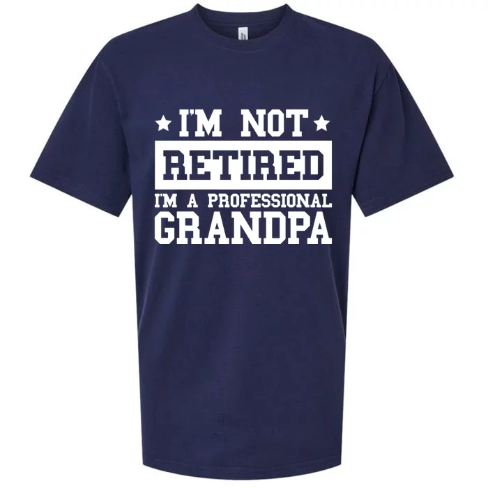 I'm Not Retired I'm A Professional Grandpa Gift Sueded Cloud Jersey T-Shirt