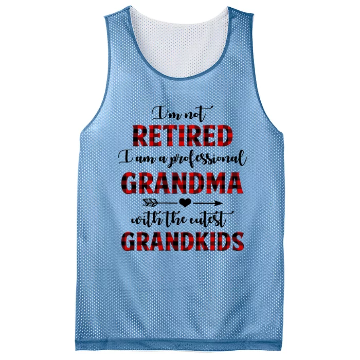 I’M Not Retired I Am A Professional Grandma Cool Gift Mesh Reversible Basketball Jersey Tank