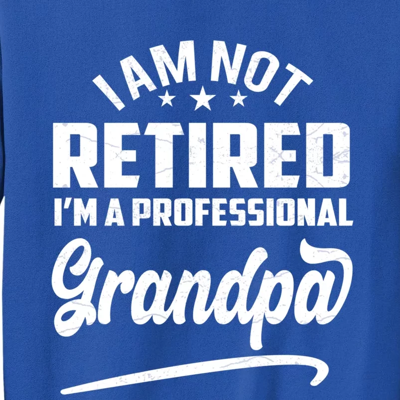 I'm Not Retired I'm A Professional Grandpa Gift Tall Sweatshirt