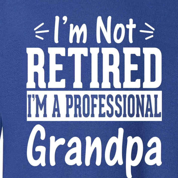 I'm Not Retired I'm A Professional Grandpa Meaningful Gift Toddler Sweatshirt