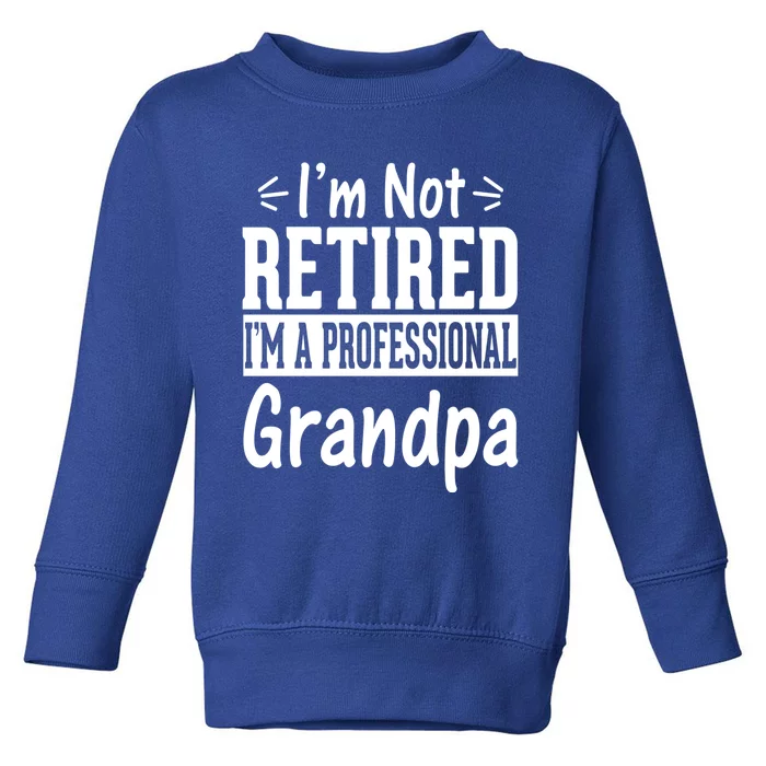 I'm Not Retired I'm A Professional Grandpa Meaningful Gift Toddler Sweatshirt