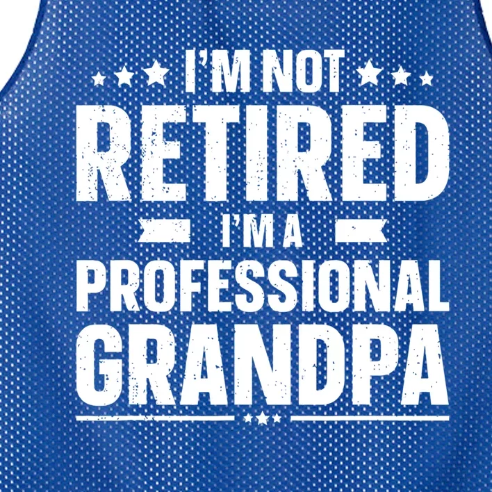 Im Not Retired Im A Professional Grandpa Dad Fathers Day Funny Gift Mesh Reversible Basketball Jersey Tank