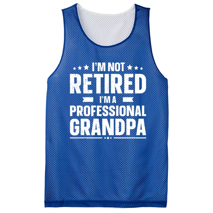 Im Not Retired Im A Professional Grandpa Dad Fathers Day Funny Gift Mesh Reversible Basketball Jersey Tank