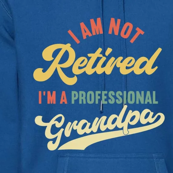 I'm Not Retired I'm A Professional Grandpa Gift Premium Hoodie