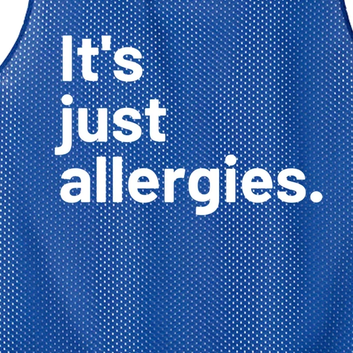 I'm Not Really Sick It's Just Allergies Gift Mesh Reversible Basketball Jersey Tank