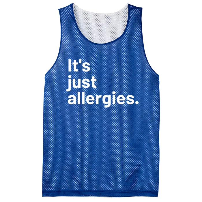 I'm Not Really Sick It's Just Allergies Gift Mesh Reversible Basketball Jersey Tank