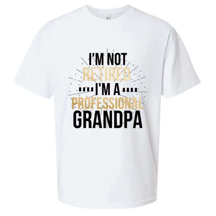 Im Not Retired Im A Professional Grandpa Grandfather Gift Sueded Cloud Jersey T-Shirt