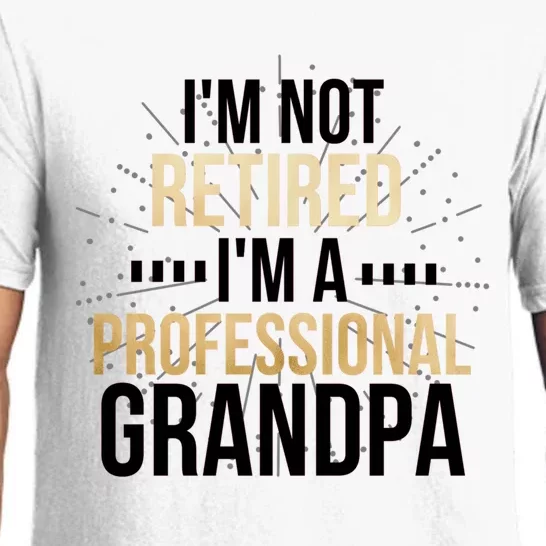 Im Not Retired Im A Professional Grandpa Grandfather Gift Pajama Set