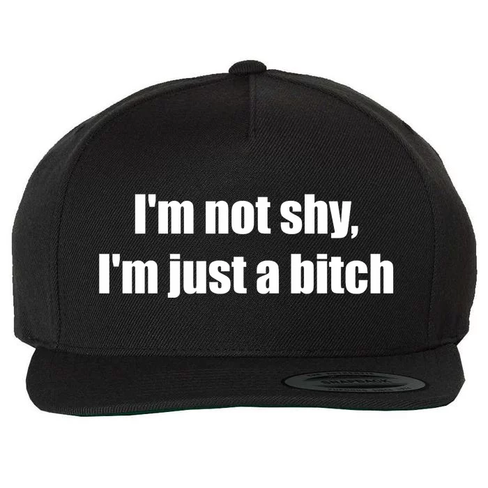 Im Not Shy Im Just A Bitch Wool Snapback Cap